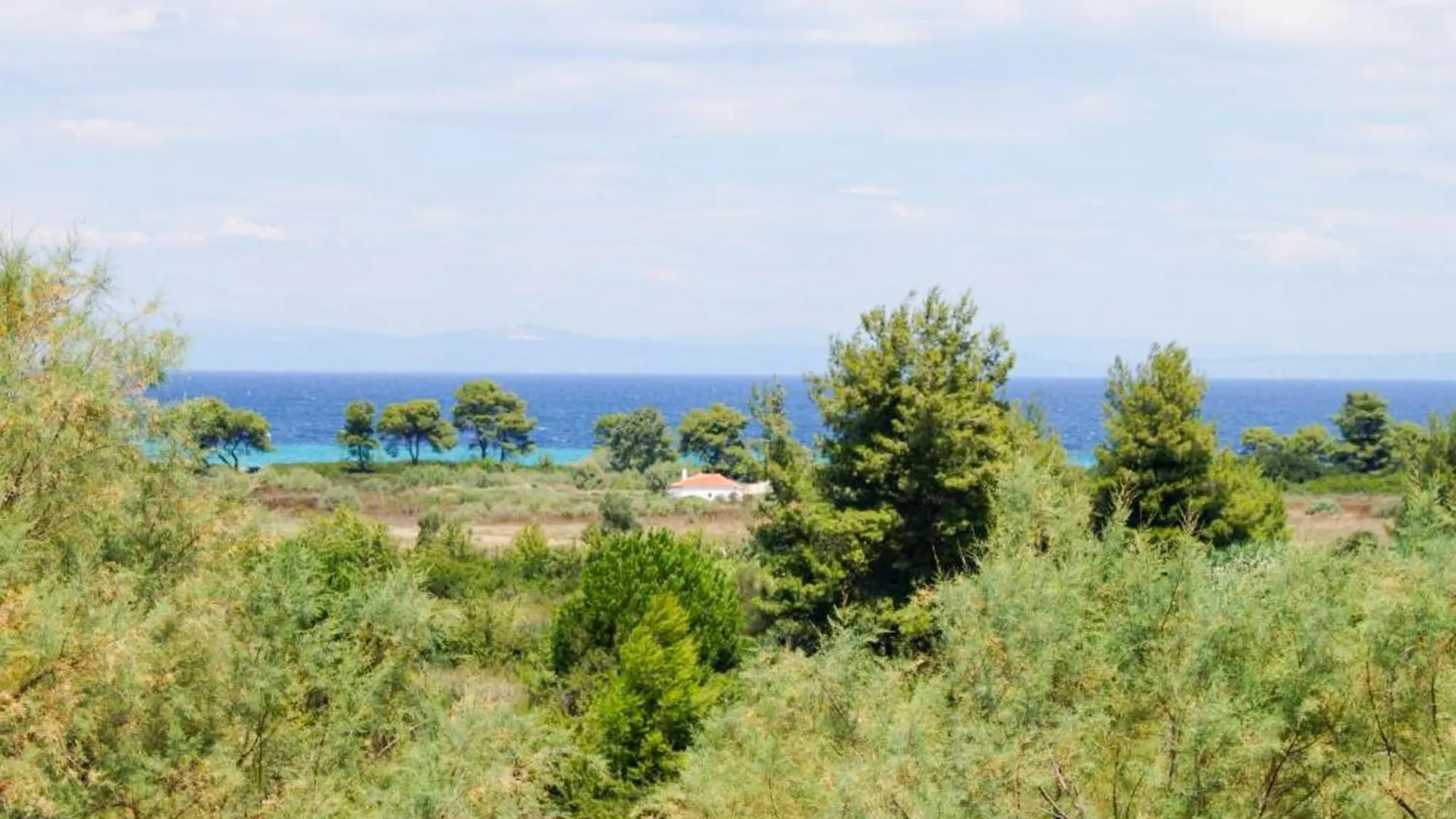 Aquamare Studios Πευκοχώρι